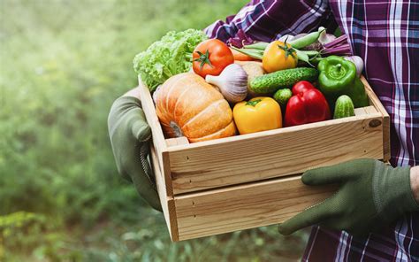 Farm fresh produce - Get fresh, non-GMO fruits and vegetables delivered to your door every week. Choose your plan, customize your order, and enjoy seasonal recipes from trusted partner farms.